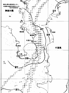 東京湾口海況図(2025/08/07)