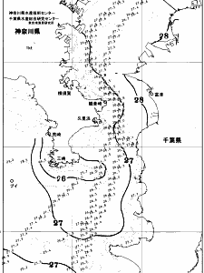 東京湾口海況図(2025/08/08)