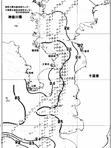 東京湾口海況図(2025/08/13)