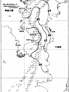 東京湾口海況図(2025/08/27)