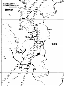 東京湾口海況図(2025/09/13)