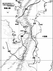 東京湾口海況図(2025/09/23)