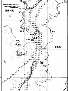 東京湾口海況図(2025/09/28)