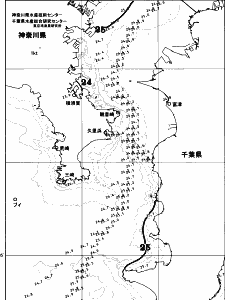 東京湾口海況図(2025/09/29)
