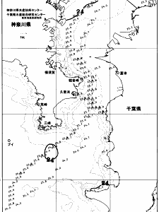 東京湾口海況図(2025/10/04)