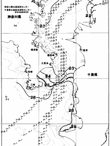 東京湾口海況図(2025/10/11)