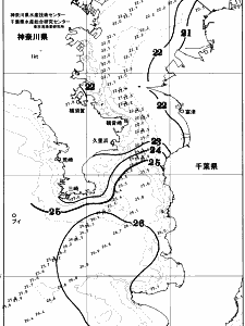 東京湾口海況図(2025/10/15)