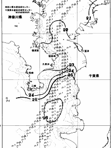 東京湾口海況図(2025/10/16)