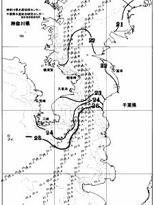 東京湾口海況図(2025/10/17)