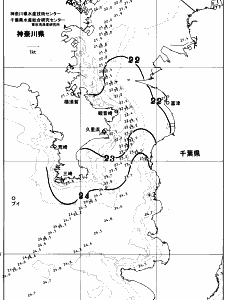 東京湾口海況図(2025/10/20)