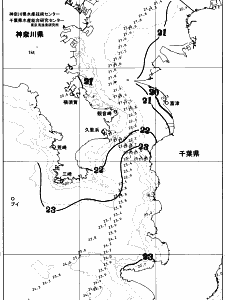東京湾口海況図(2025/10/22)