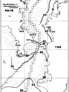 東京湾口海況図(2025/10/23)