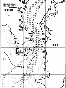 東京湾口海況図(2025/10/24)