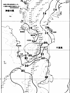 東京湾口海況図(2025/10/30)