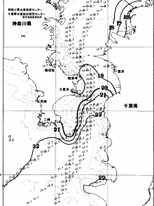 東京湾口海況図(2025/10/31)