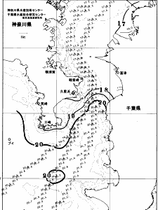 東京湾口海況図(2025/11/10)