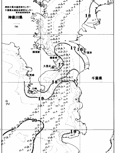 東京湾口海況図(2025/11/14)