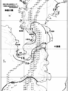東京湾口海況図(2025/11/15)