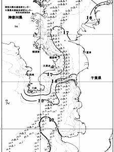 東京湾口海況図(2025/11/16)