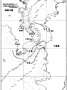 東京湾口海況図(2025/11/18)