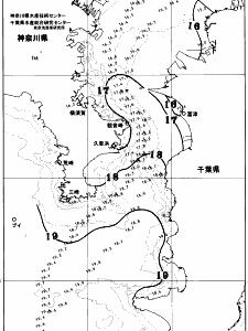 東京湾口海況図(2025/11/19)