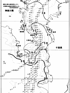 東京湾口海況図(2025/11/21)