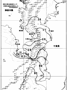 東京湾口海況図(2025/11/24)