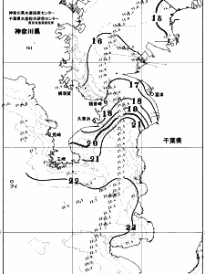 東京湾口海況図(2025/11/26)