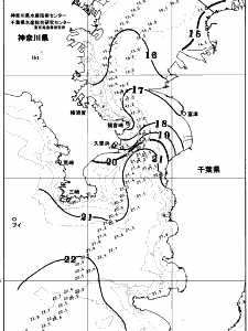 東京湾口海況図(2025/11/29)