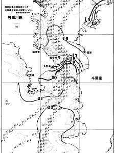 東京湾口海況図(2025/11/30)