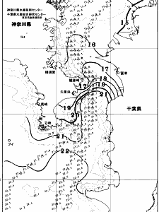 東京湾口海況図(2025/12/01)