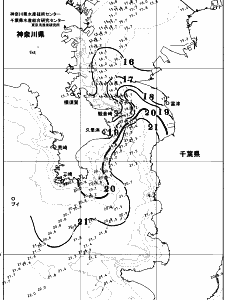 東京湾口海況図(2025/12/02)
