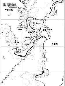 東京湾口海況図(2025/12/04)