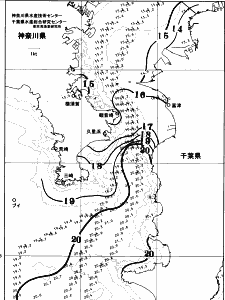 東京湾口海況図(2025/12/09)