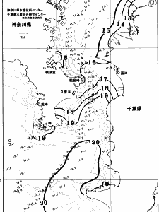 東京湾口海況図(2025/12/11)