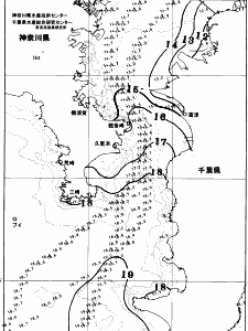 東京湾口海況図(2025/12/14)