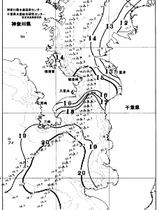 東京湾口海況図(2025/12/16)