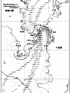 東京湾口海況図(2025/12/24)