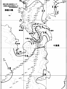 東京湾口海況図(2025/12/26)