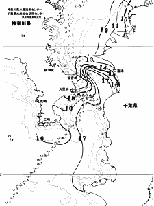 東京湾口海況図(2026/01/12)