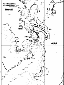 東京湾口海況図(2026/01/13)