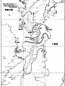 東京湾口海況図(2026/01/15)