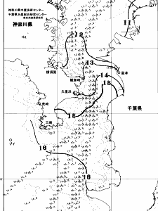 東京湾口海況図(2026/01/16)