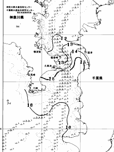 東京湾口海況図(2026/01/17)