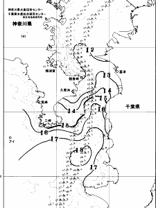 東京湾口海況図(2026/01/20)