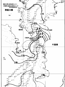 東京湾口海況図(2026/01/31)