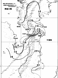 東京湾口海況図(2026/02/01)