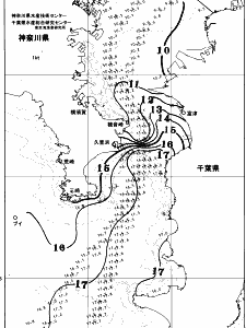 東京湾口海況図(2026/02/02)