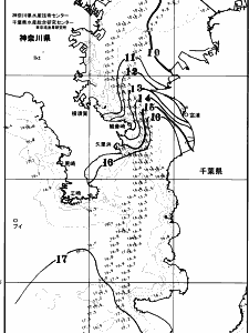 東京湾口海況図(2026/02/05)