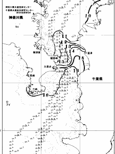 東京湾口海況図(2026/02/07)